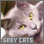 Cats: Grey
