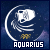 Astrology: Aquarius
