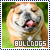 Dogs: Bulldogs